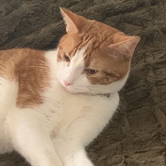 Meet Your Posher, Danny - Picture 7 of 9